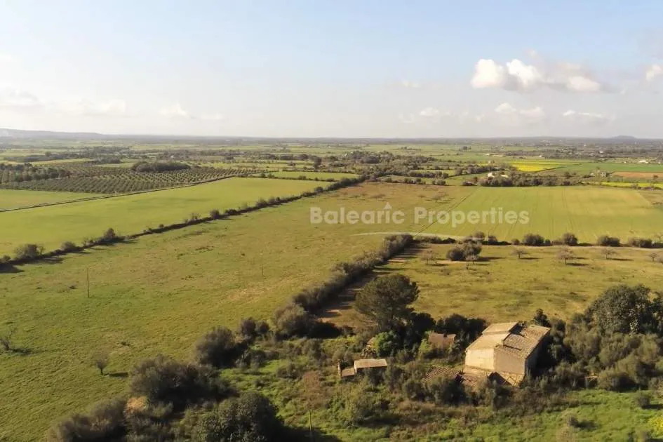 Magnificent plot of 45 hectares for agricultural and urban development in the countryside of Manacor, Mallorca.