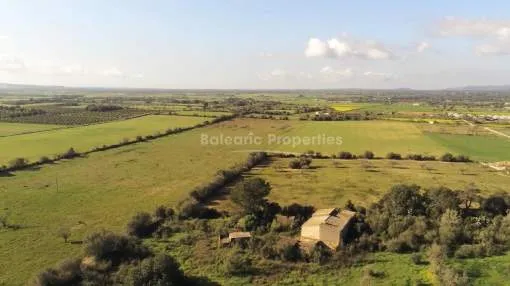 Magnificent plot of 45 hectares for agricultural and urban development in the countryside of Manacor, Mallorca.