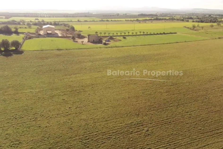 Magnificent plot of 45 hectares for agricultural and urban development in the countryside of Manacor, Mallorca.