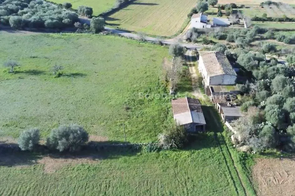 Magnificent plot of 45 hectares for agricultural and urban development in the countryside of Manacor, Mallorca.