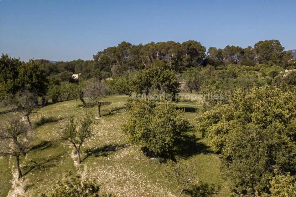 Country plot with the possibility for a luxury finca in Moscari, Mallorca