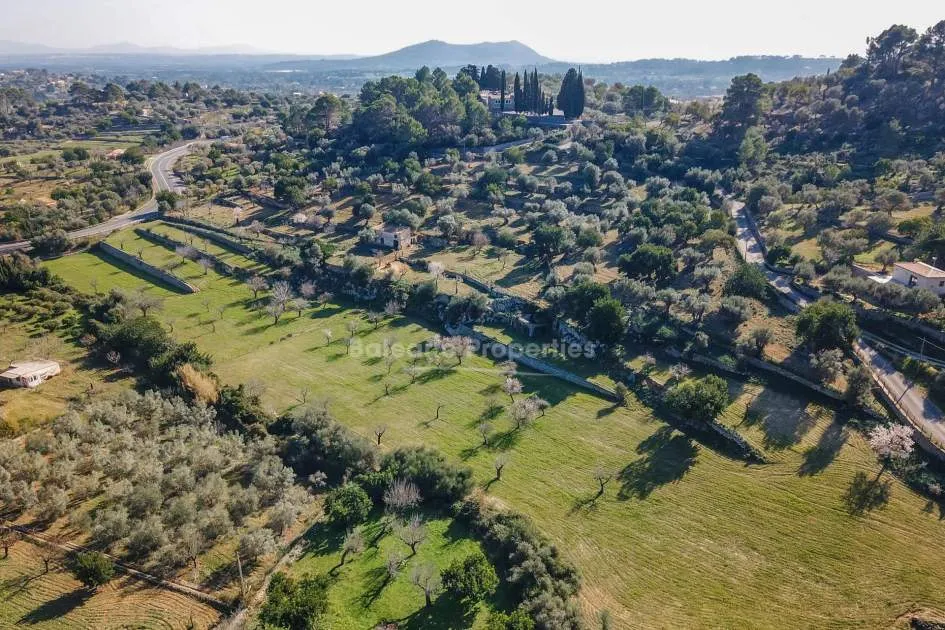 Beautiful plot for sale with "bancales" between Selva and Caimari, Mallorca