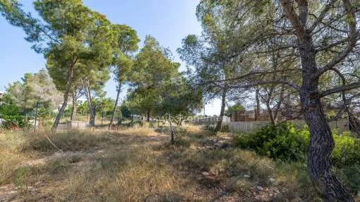 Residential plot with project and license for sale in Cala Vinyes, Mallorca