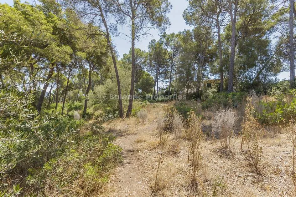Desirable residential plot for sale close to Santa Ponsa, Mallorca
