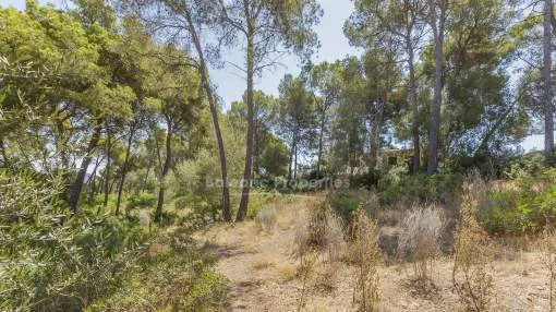 Desirable residential plot for sale close to Santa Ponsa, Mallorca