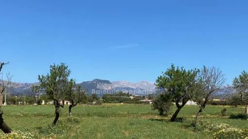 Building plot with project for sale in Binissalem, Mallorca