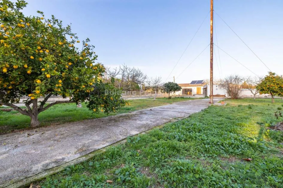 Delightful country house surrounded by vineyards for sale in Binissalem, Mallorca