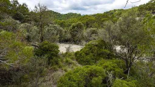 Great opportunity of idyllic spot for sale in Galilea, Mallorca