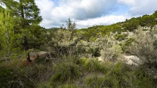 Excellent plot for sale in an idyllic area of in Galilea, Puigpuñent, Mallorca