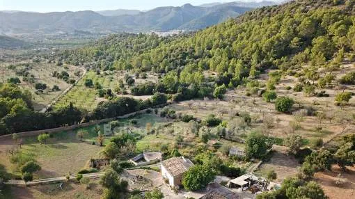 Charming Mallorcan finca to renovate for sale in Alaro, Mallorca