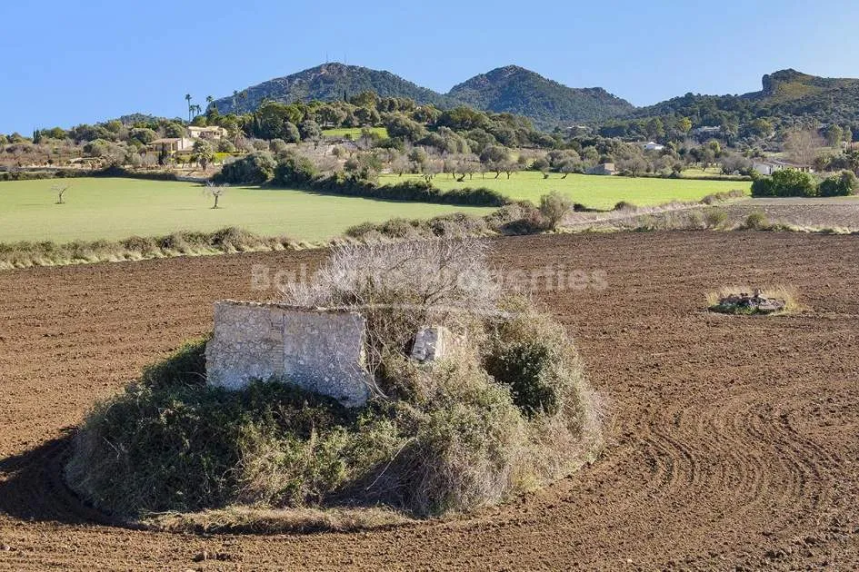 Rustic plot with the option to build, for sale in Alcudia, Mallorca.