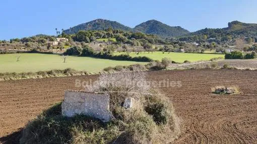 Rustic plot with the option to build, for sale in Alcudia, Mallorca.