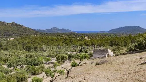 Country plots with projects for sale, close to the town of Artá, Mallorca
