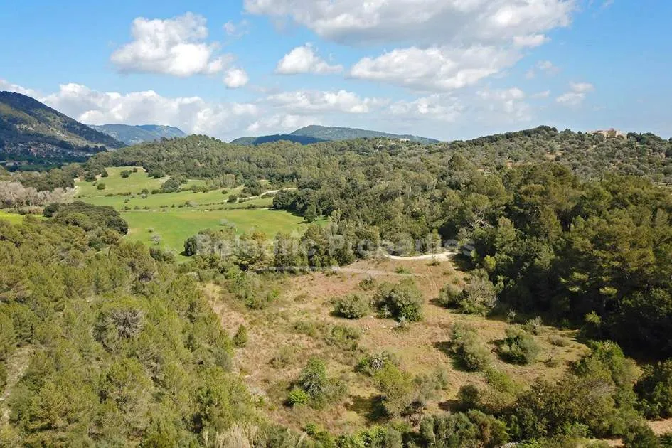 Large rustic plot for sale in a peaceful area close to Campanet, Mallorca
