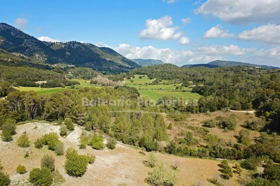 Large rustic plot for sale in a peaceful area close to Campanet, Mallorca