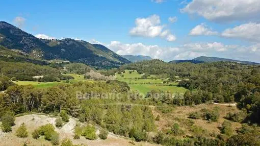 Large rustic plot for sale in a peaceful area close to Campanet, Mallorca