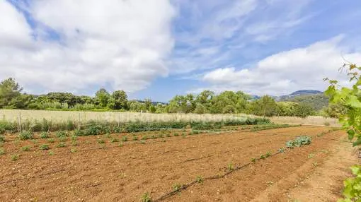 Lovely rural plot with mountain views for sale in Campanet, Mallorca