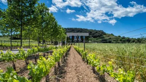 Outstanding country villa for sale in Sant Llorenç de Cardassar, Mallorca Outstanding country villa for sale in Sant Llorenç de Cardassar, Mallorca