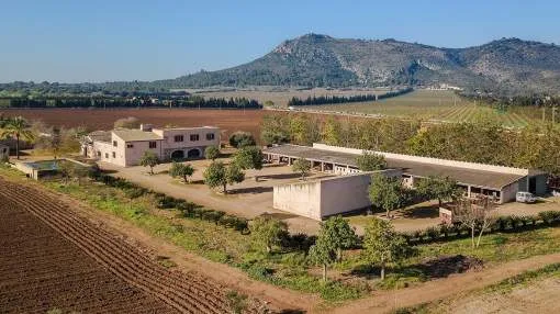 Enormous Mallorca country property with investment potential for sale in Llubí, Mallorca