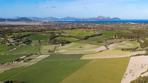 Plot of 20,800 m2 for sale near Santa Margalida, Mallorca Plot of 20,800 m2 for sale near Santa Margalida, Mallorca