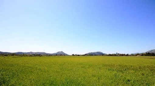 Country plot between Pollença - Alcudia - Mallorca - Balearic Island, close to the Pollença golf course Country plot between Pollença - Alcudia - Mallorca - Balearic Island, close to the Pollença golf course
