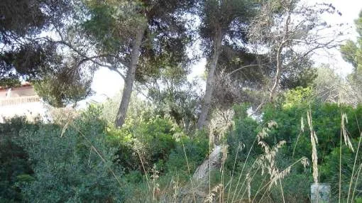 CAD0138 - Plot for sale in Cala d´Or, Santanyí, Mallorca, Baleares, Spain CAD0138 - Plot for sale in Cala d´Or, Santanyí, Mallorca, Baleares, Spain