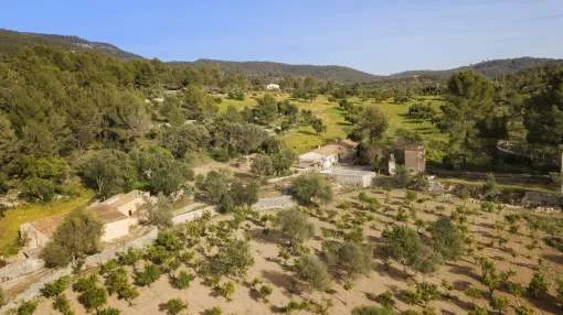 Huge country plot for sale in Bunyola, Mallorca