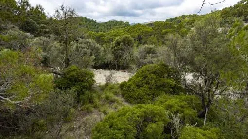 Great opportunity of idyllic spot for sale in Galilea, Mallorca Great opportunity of idyllic spot for sale in Galilea, Mallorca