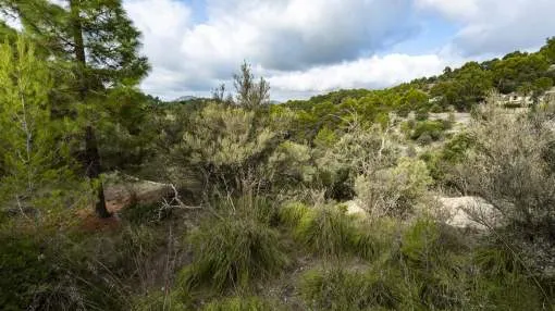 Excellent plot for sale in an idyllic area of in Galilea, Puigpuñent, Mallorca Excellent plot for sale in an idyllic area of in Galilea, Puigpuñent, Mallorca
