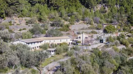 Huge hillside estate for sale near Puerto Sóller, Mallorca Huge hillside estate for sale near Puerto Sóller, Mallorca