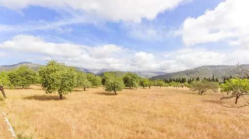 Country plot perfect for two dream homes, for sale in Campanet, Mallorca Country plot perfect for two dream homes, for sale in Campanet, Mallorca