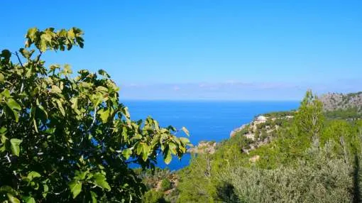 Picturesque townhouse-central, traditional Majorcan, patio terrace, TV Picturesque townhouse-central, traditional Majorcan, patio terrace, TV