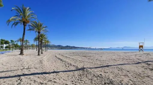Apartment in Alcudia for 5 guests Apartment in Alcudia for 5 guests