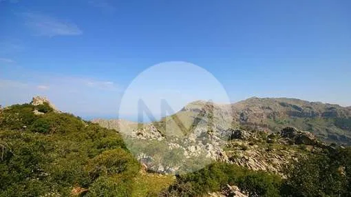 Exclusive 13th century county house with views of Torrent de Pareis in Escorca, Majorca Exclusive 13th century county house with views of Torrent de Pareis in Escorca, Majorca