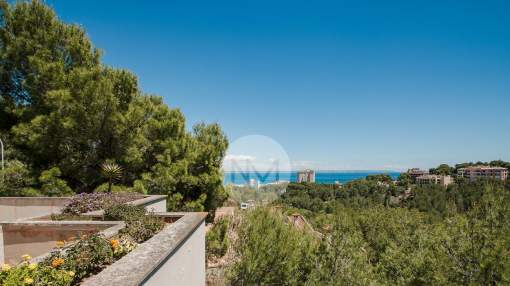 Penthouse with views over woodland and the sea in Cas Catala Penthouse with views over woodland and the sea in Cas Catala