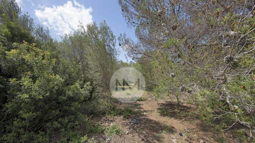 South-facing building plot in Sant Marçal in Marratxi in Majorca South-facing building plot in Sant Marçal in Marratxi in Majorca