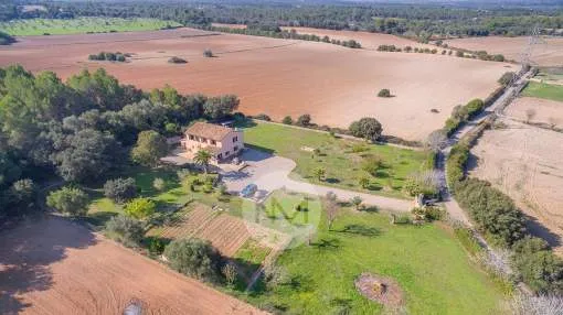 Lovely old finca with high level of privacy near Llubí in Mallorca Lovely old finca with high level of privacy near Llubí in Mallorca