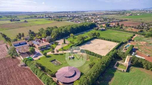 Spacious finca for horse lovers in Sa Casa Blanca, Palma de Mallorca Spacious finca for horse lovers in Sa Casa Blanca, Palma de Mallorca