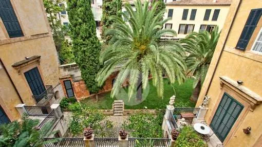 Charming apartment in the very centre of Palma de Mallorca Charming apartment in the very centre of Palma de Mallorca