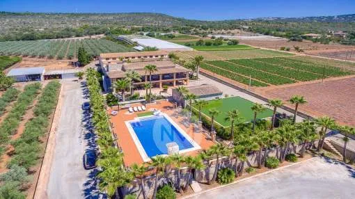 Beautiful country house in Palma de Majorca Beautiful country house in Palma de Majorca