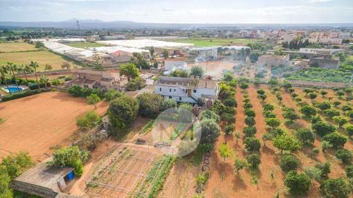 Finca to be reformed in Son Ferriol in Mallorca Finca to be reformed in Son Ferriol in Mallorca