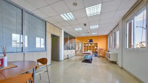 Commercial premises en Palma de Mallorca Commercial premises en Palma de Mallorca