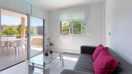 Apartment in Costa d'en Blanes in Mallorca Apartment in Costa d'en Blanes in Mallorca