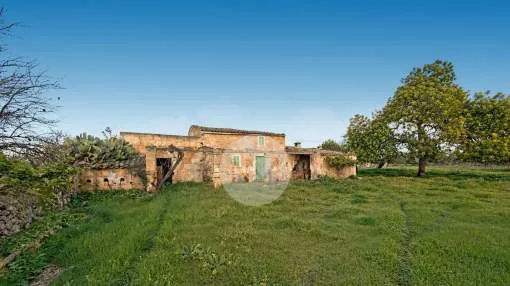 Charming land near Maria de la Salut in Mallorca Charming land near Maria de la Salut in Mallorca