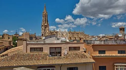 Excellent penthouse in the Old Town of Palma, Mallorca Excellent penthouse in the Old Town of Palma, Mallorca