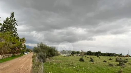 Rustic plot with mountain views for sale near Consell, Majorca Rustic plot with mountain views for sale near Consell, Majorca