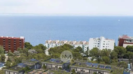 Plot for commercial use for sale in Illetas, Majorca Plot for commercial use for sale in Illetas, Majorca