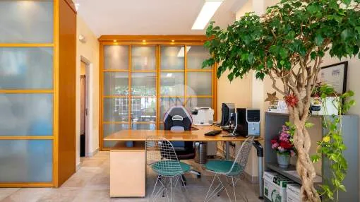 Commercial premises on the ground floor near the beach of Illetas, Majorca Commercial premises on the ground floor near the beach of Illetas, Majorca