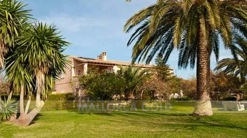 Country estate with privacy and huge amount of fruit and almond trees near Palma
