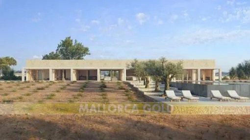 Project for the construction of a Finca on one floor with large pool and outdoor areas